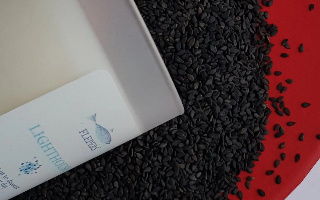 Flepers Lighthouse фото 3